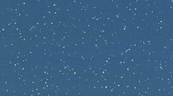 Линолеум Taralay Premium Compact Indiana 4476 WATTARU фото 1 | FLOORDEALER